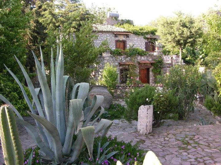 Gasthof Medusa House Butik