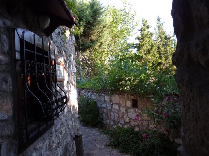 Medusa House Butik Gasthof Didim