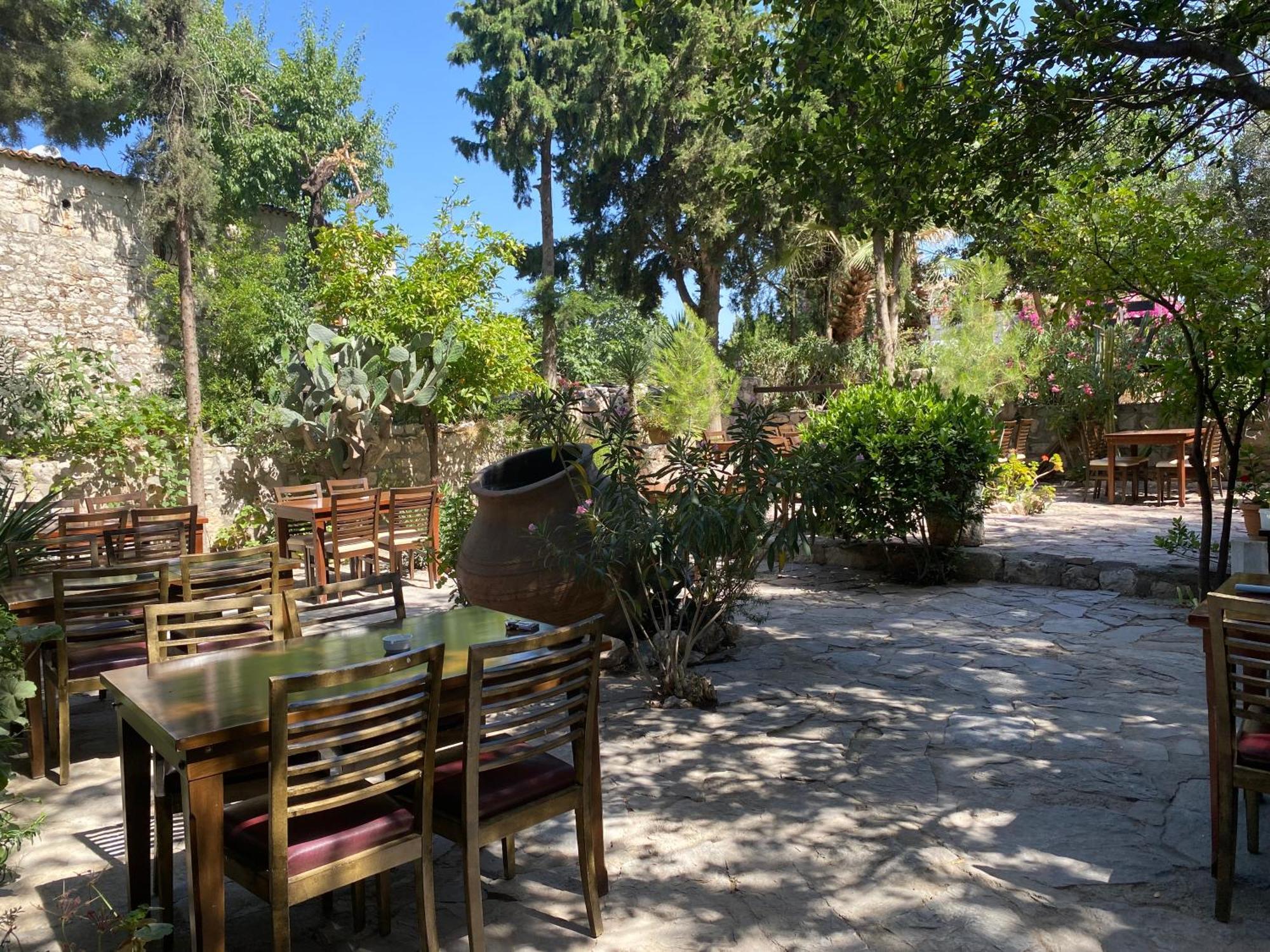 Medusa House Butik Gasthof Didim