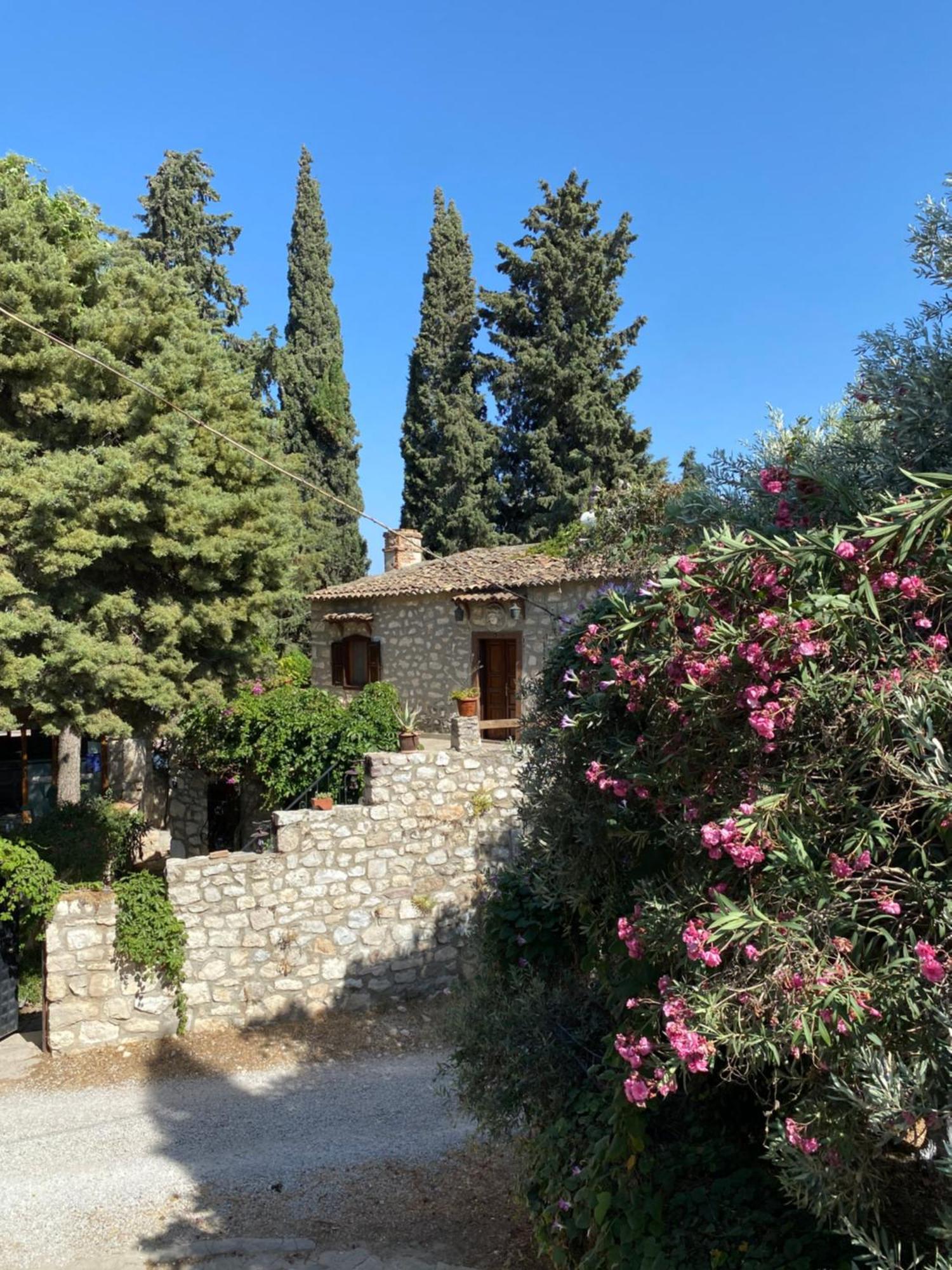 בית הארחה Medusa House Butik *