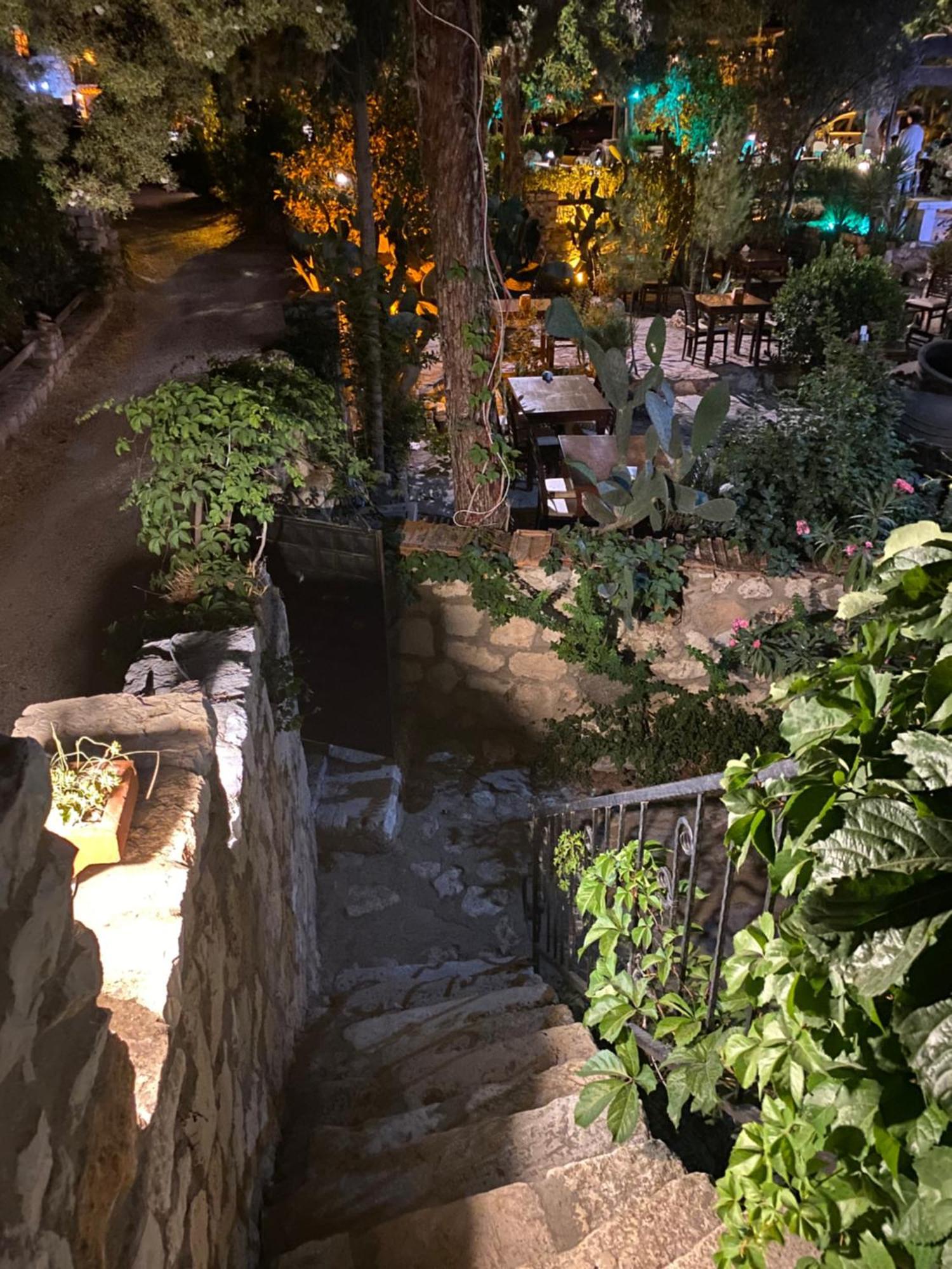Medusa House Butik בית הארחה דידים