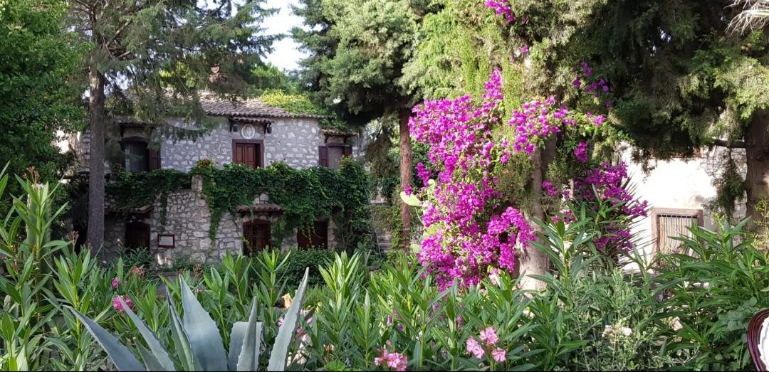 Medusa House Butik Gasthof Didim